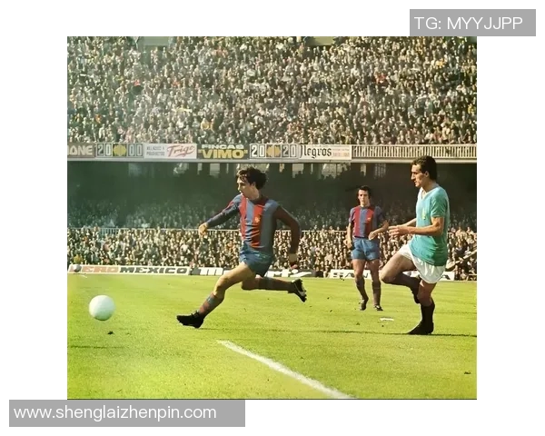 足球明星的传奇故事与他们背后的名字解析